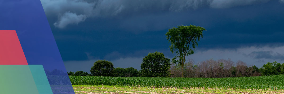 Ipsos | Almanac 2024 | Climate