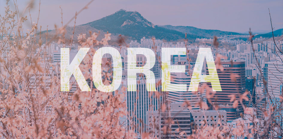 Ipsos | Brand Success | Korea