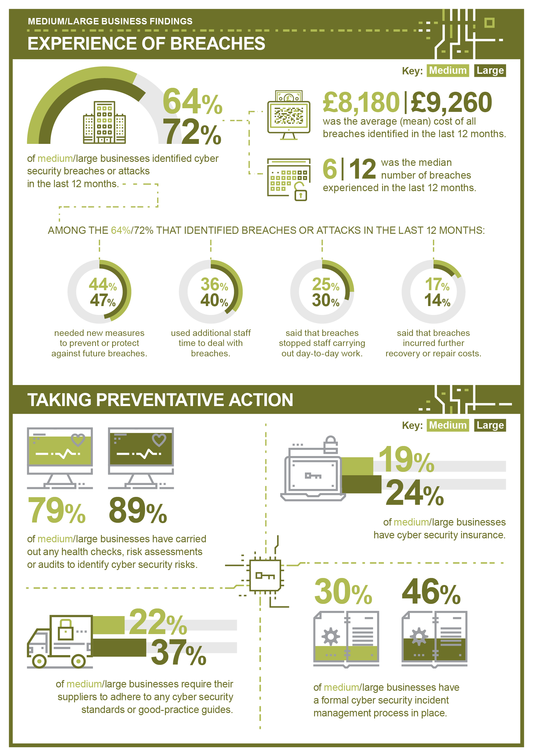 Infographic: Medium and Large Business