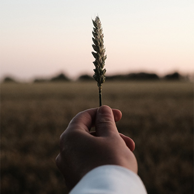 Ipsos | ESG | Case study | Impact