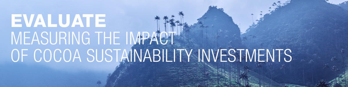 Ipsos | ESG | Case study | Measuring the impact of cocoa sustainability investments