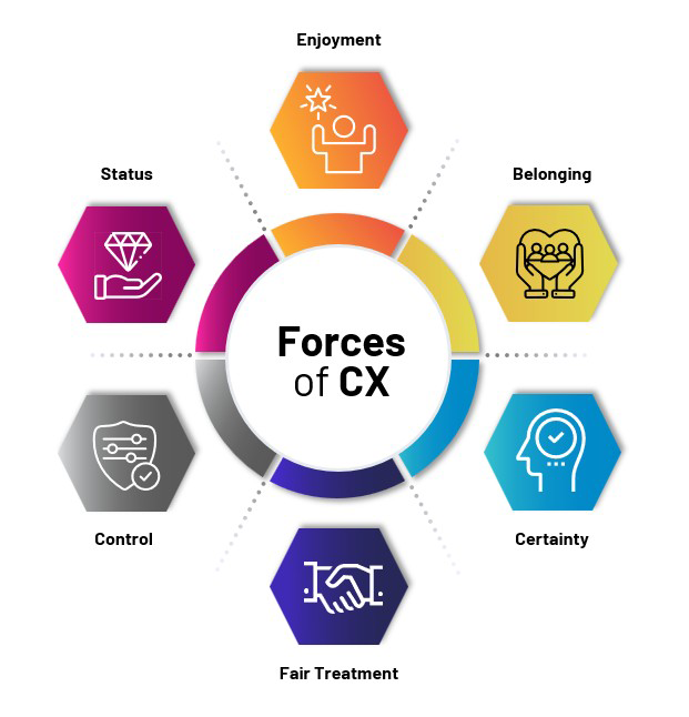 The Forces of Customer Experience - Ipsos Graphic