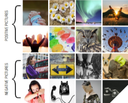 16 verschiedene Motive sortiert nach positiven und negativen Bildern