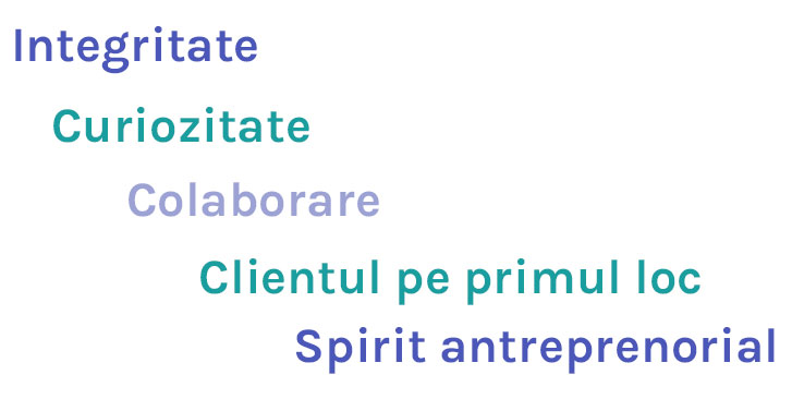 Valorile Ipsos