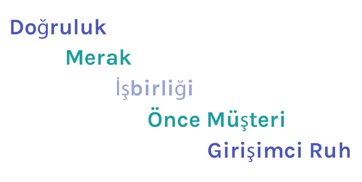 Ipsos Değerlerimiz