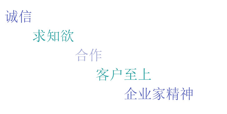 价值观 Ipsos