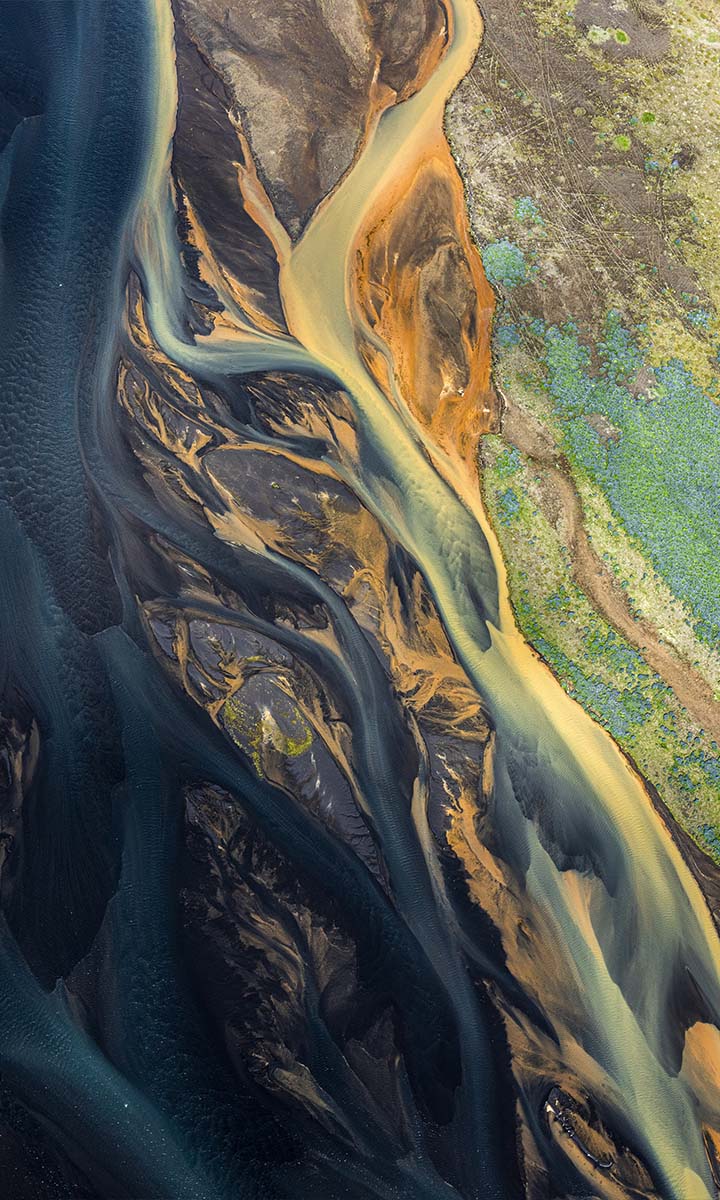 Ipsos | sustainability | climate change | environement 