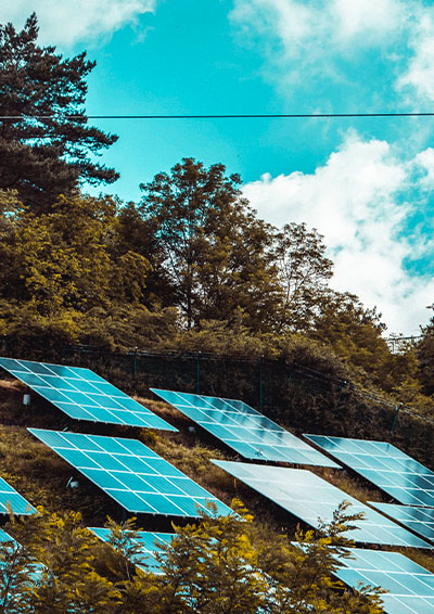 Ipsos | Sustainability advertising and the role of empathy