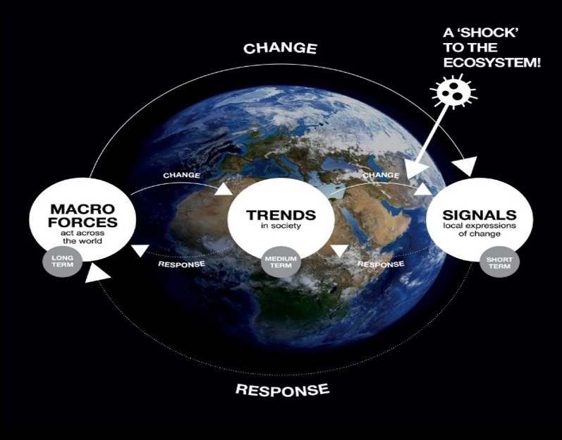 Ipsos_Food Trends Podcast Cases