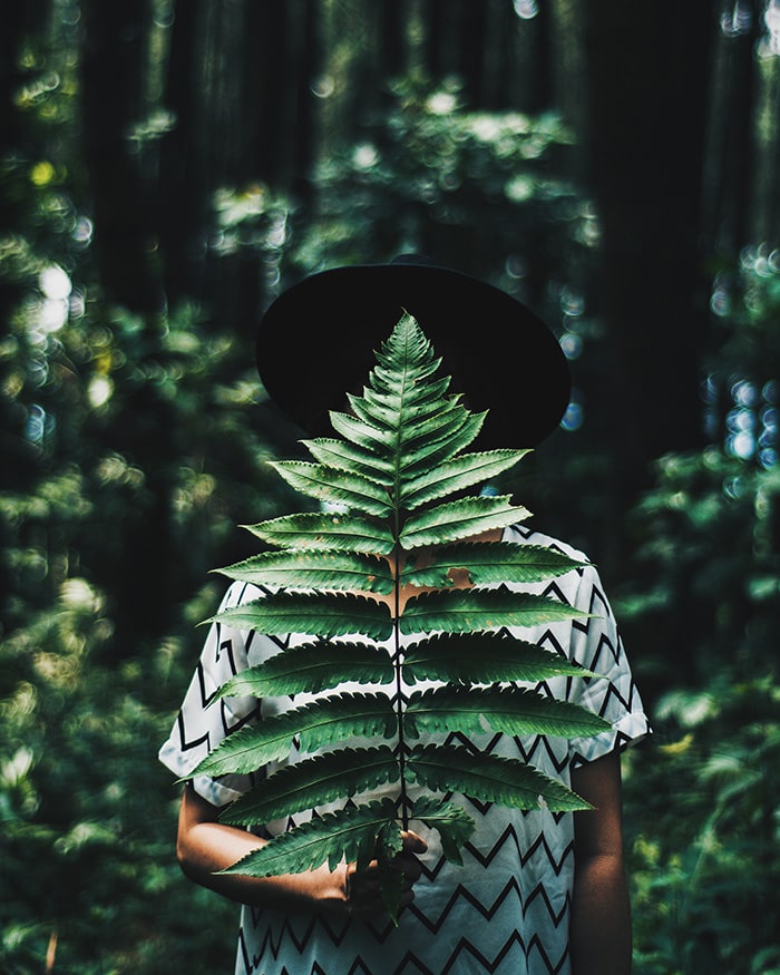Person holding fern leaf | Fashion & luxury goods | upcycling collection | Ipsos