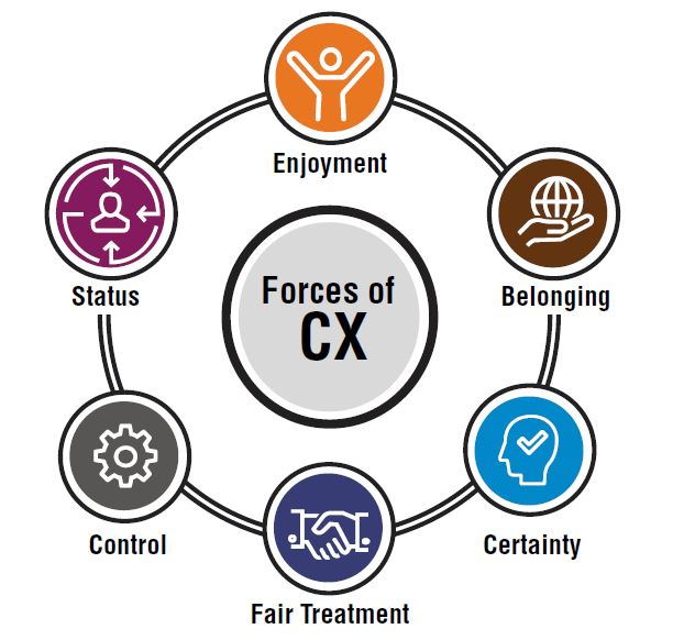 The Forces of Customer Experience (CX) - Ipsos