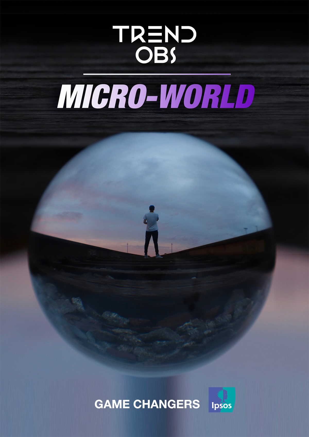 Micro-world | Trends 2020 | Ipsos