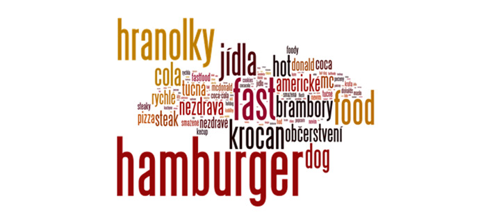 Jaký vyplývá z aktuálního průzkumu agentury Ipsos (leden 2011), převážná většina Čechů asociuje americkou kuchyni jednoduše s hamburgery a hranolkami.