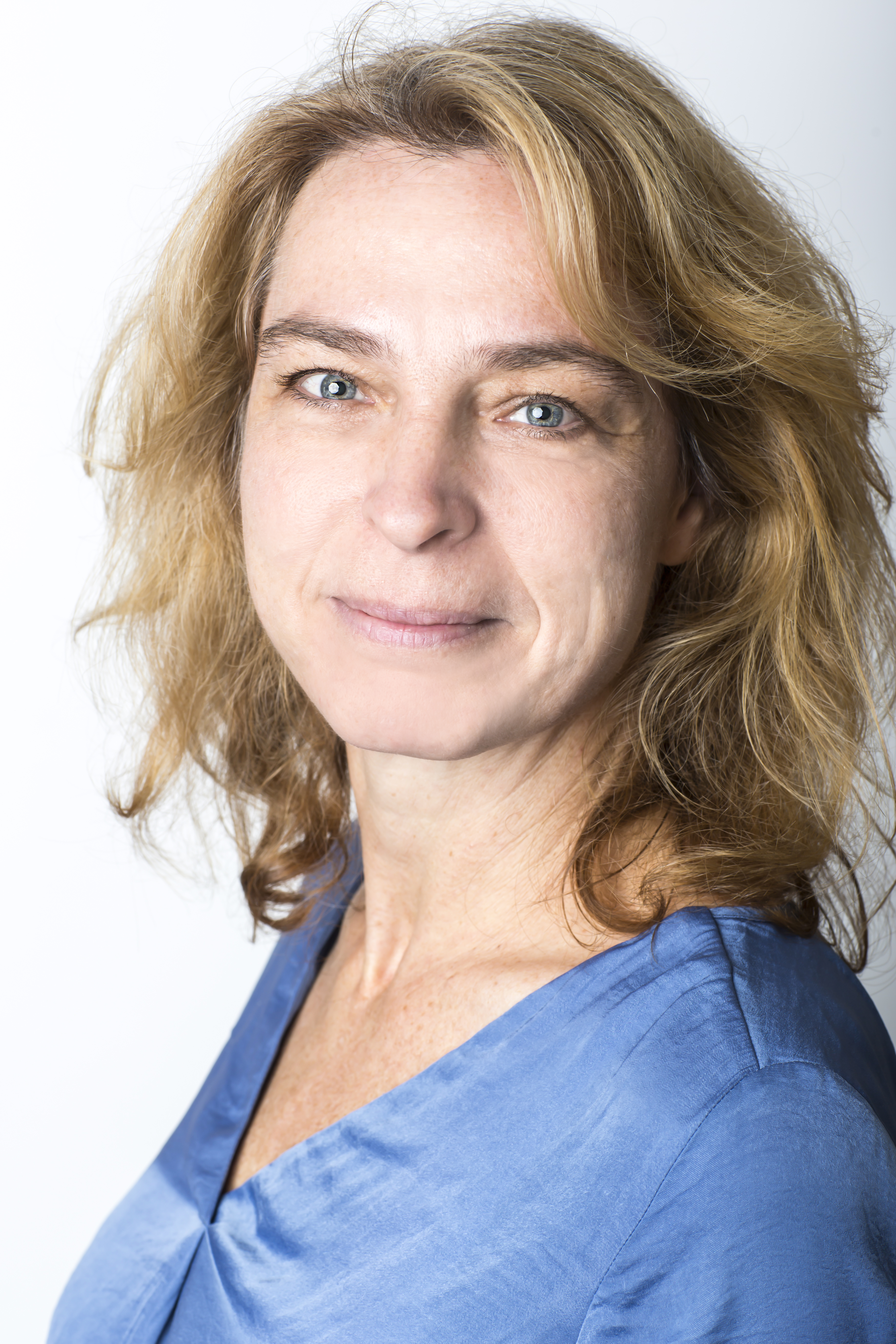 Závodszky Júlia, Ipsos