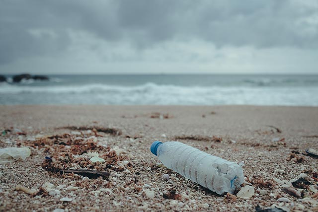 Image of water bottle on the beach