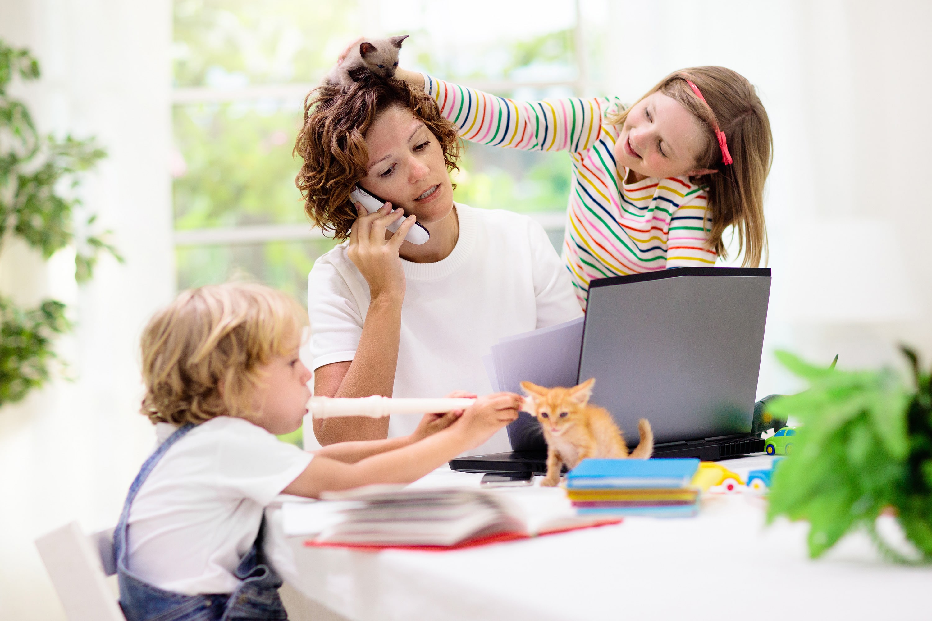 working from home | Ipsos