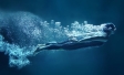 Applied Thinking: Plunge