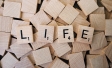 LIFE Path identifiziert Touchpoints von Shoppern
