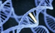 Conquering Complexity: The Coming Revolution in Oncology Biomarker Testing