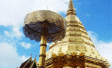 Ipsos Business Consulting: Investment trends in emerging markets