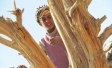 Healthy Schools Programmes in Jordan