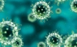 germs