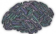 Ipsos sa výrazne posilnil na poli neurovýskumov