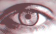 Ipsos Perils of Perception