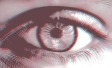 Misperceptions Ipsos 
