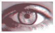 Perils of Perception 2017 