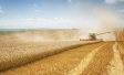 AgriExpress