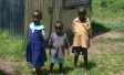The Ipsos Foundation Flagship Project - Solace - is well underway