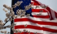 american flag with a flower