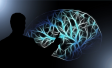 Poznatky behavioural science v businessu