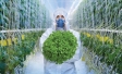 New Data Show the Changing Definitions of Food
