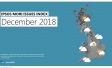 Ipsos Issues Index: December 2018