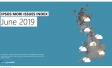 Ipsos Issues Index June 2019 front page