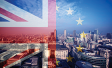 techUK Brexit Members Survey 2019