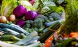 vegetables