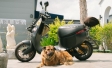 Gogoro