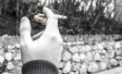 How much are Scottish teenagers smoking, drinking and taking drugs? SALSUS | Ipsos