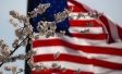 American Flag