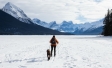 Person cross-country skiing in mountains with dog