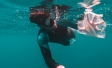 Diver finds a plastic bag