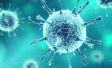 Virus