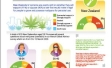 Should Marijuana be Legalised in New Zealand?