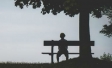 Picture of individual sitting alone on bench beneath a tree 