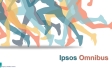 Omnibus Research in Egypt 