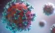 Social media, gardening, books, bread and having sex – How Britons are whiling away coronavirus lockdown | Ipsos