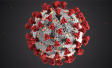 Signals#3 - Understanding the coronavirus crisis | COVID-19 | Ipsos